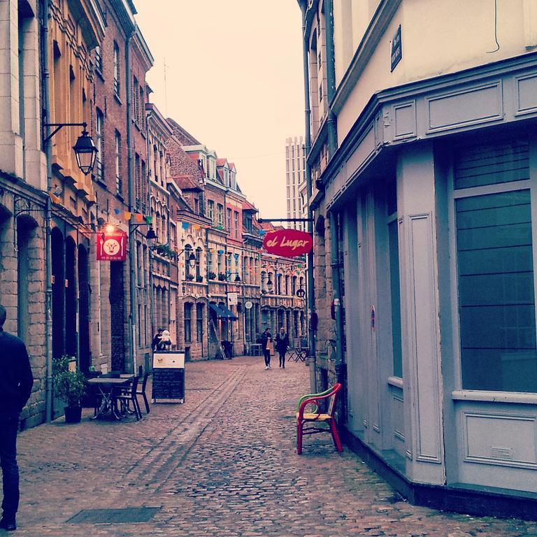 Lille Centre Ville, Beaux Arts Et Grand Palais, Bienvenue Chez Nestyou Лилль Экстерьер фото