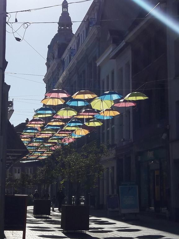 Lille Centre Ville, Beaux Arts Et Grand Palais, Bienvenue Chez Nestyou Лилль Экстерьер фото
