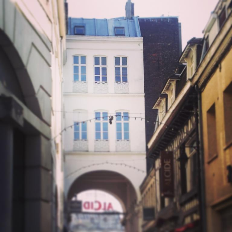 Lille Centre Ville, Beaux Arts Et Grand Palais, Bienvenue Chez Nestyou Лилль Экстерьер фото