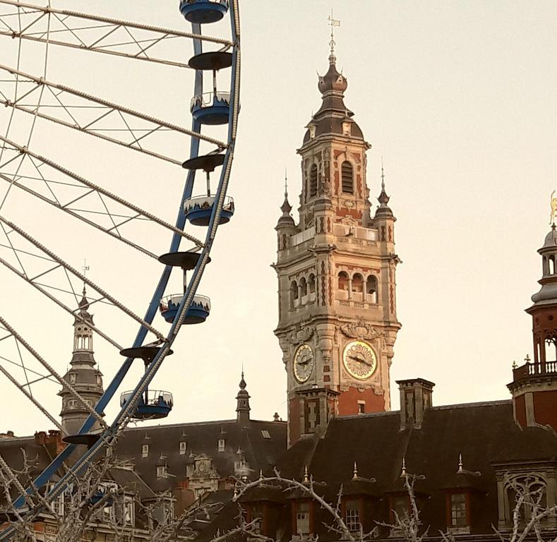 Lille Centre Ville, Beaux Arts Et Grand Palais, Bienvenue Chez Nestyou Лилль Экстерьер фото